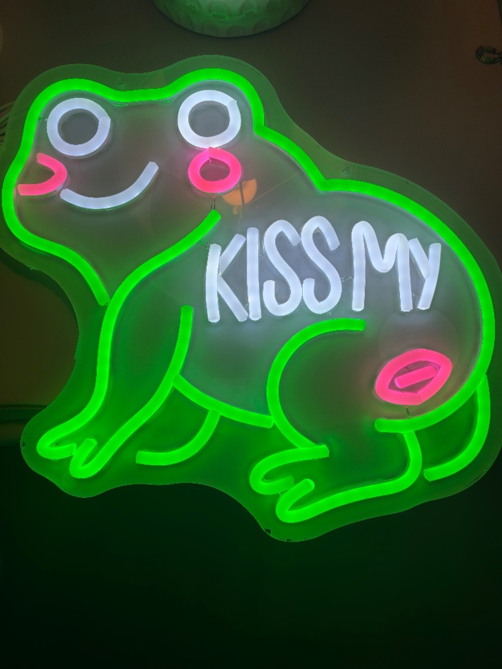 Frog Neon Sign for Wall Decor